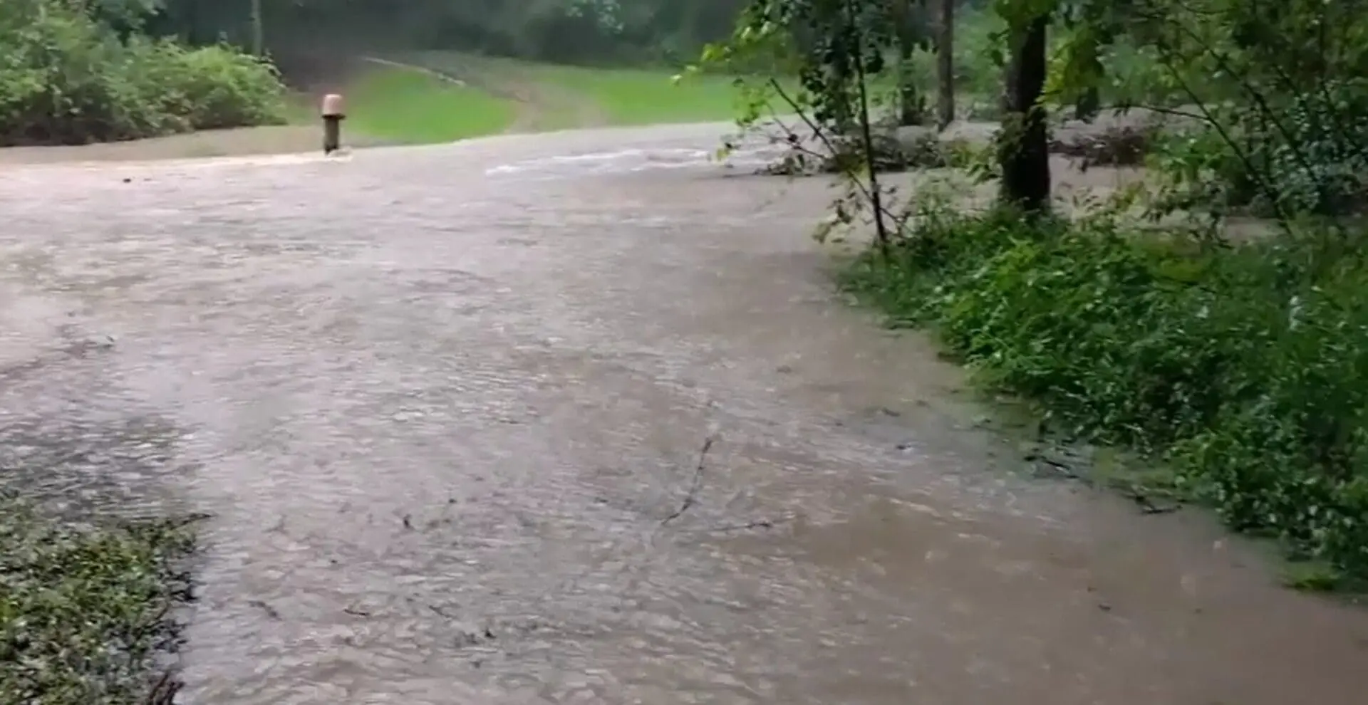 Waterlogged trail surrounded by trees