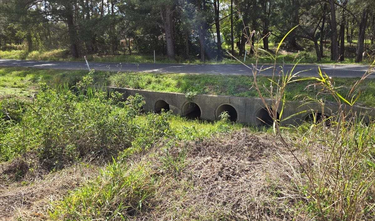 Overgrown ditch with concrete drainage pipes